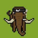 Baby Mammoth Club