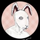 Border Rabbit