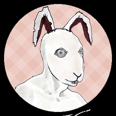 Border Rabbit