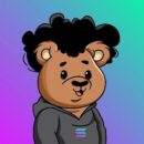BOSS Bears