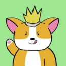 Chubby Corgis