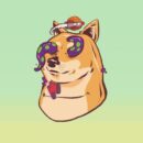 ELITE DOGE CLUB