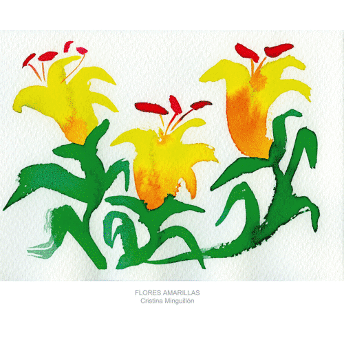 Flores