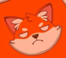 Foxy Foxes