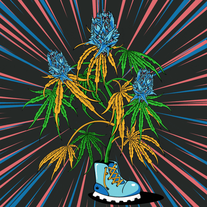 NFT🔹WEED🔹GAME