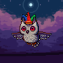 Obsessed Owls