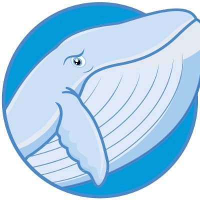 Oceans Inc.