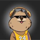Quokka Empire