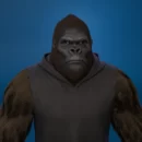 Rogue Primate Society