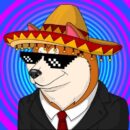 Shiba Family : Shiba Man