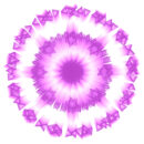 SolMandalas the Winter Solstice Drop
