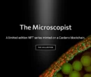 The Microscopist