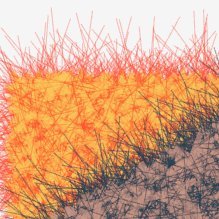 Wildfire Native